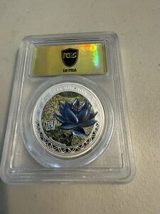 2024 PCGS PR70CAM 1IX EgS[hbVx x[^GfBV ubN[^X M.T.G.