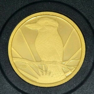 .9999  1/20 IX 5h 2009N NbJo̔N p[X