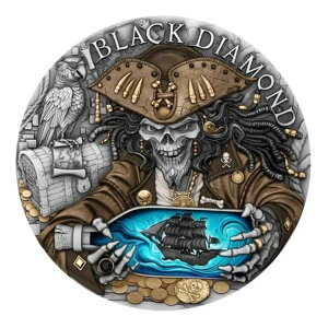 2025 ubN _Ch 2 IX nC [t AeB[N Vo[ RC (T&S RC~g)