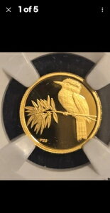 1/20IX 5h I[XgAYNbJo v[t 70 EgJI