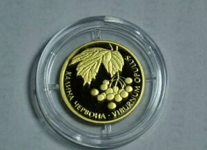 �E�N���C�i�A2 UAH 2010�A���݁FKALINA RED