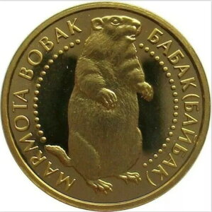 ENCi2Oui2007Au{obNEOEhzbOvؖtv[g