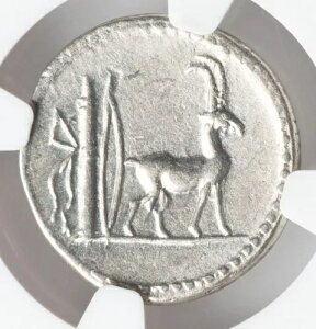 Cn. �v�����L�E�X NGC �`���C�X �_�C�A�i�E�v�����L�A�i�ƃ��M �Ñネ�[�}��� D283