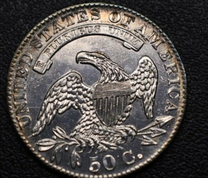 楽天市場】1833年 キャップドバスト ハーフドル シルバー 50セント US 