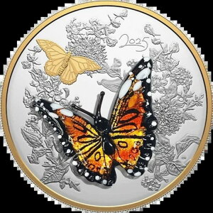 2025NJi_Y 1/2L Vo[ [mKX i[No^tC fBXvCt OGP COA