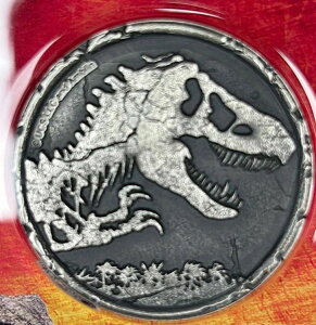 WVbNE[h jEG 2021 nC[t AeB[N Ђъdグ ANfBXvC