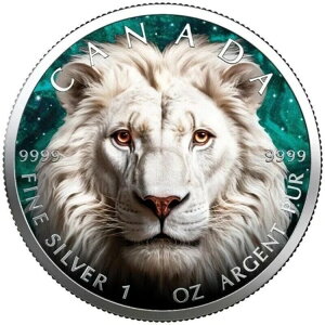 2023N zCgCI [v[t 1IX 