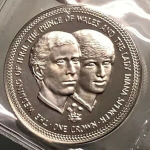 1981N } Vo[NERC `[Ycqƃ_CAi܂̌ i65218