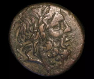 �t�@���i�P�C�A�A�|���g�X AE24�A�~�g���_�e�X6���������A�I���O85-65�N�i�Ñ�Ch VF-NGC�j