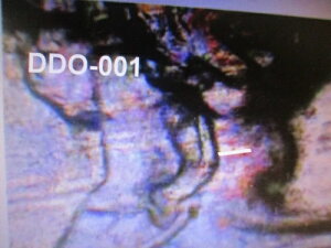 1/2[ 1930N obt@[jbP 5{ oGeB DDR-001 20 ǍD+