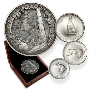 2025NJi_h 175h vf^[܂̓vfBN^[ Vh[{bNX - 23.75IX 