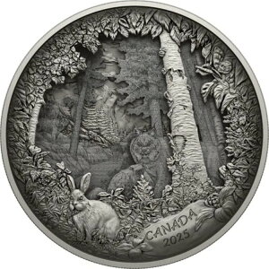 2025 738.85g Ji_ Vo[ vf^[܂̓vC Vh[{bNX TO