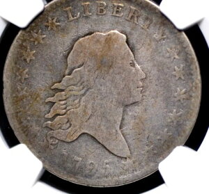 1795N 悤Ȕ n[t_[ NGC VG8 NIŖ͓IȃjAX̂