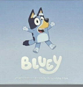 24RAM 1h u[Vo[ v[tJ[RC s2500