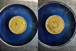 2021N _ ^cmIgVS 1/100IX  WWF Cm Cm쐶 _Ch