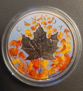 H̐Fʂ̃Ji_Y[v[t 2017N bL 1IX  /EDI