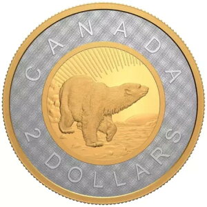 2021N 2h j[A Vo[ gD[j[: 2hʃRC25NLO - Pur