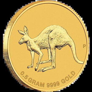 2019 JK[ ~j[ - I[XgA - uX^[J[h  - 1/62IX ST-