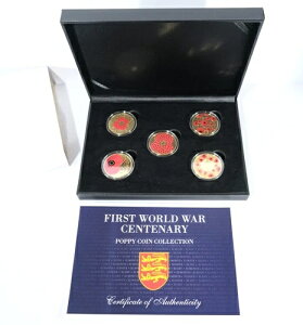 bL񎟐E100NLO|s[RCRNV 5|hZbg ?5 W[W[ XC22