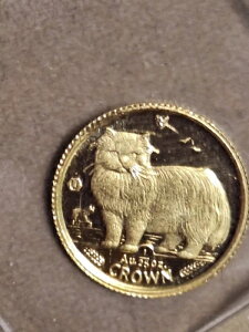 } 1989 yVLA24Jbg 1/25IX  IWi~gV[