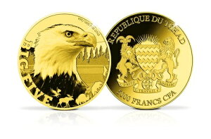 2024N `h .999  nNgEV USA rbOt@Cu AJ l 쐶 WWF 