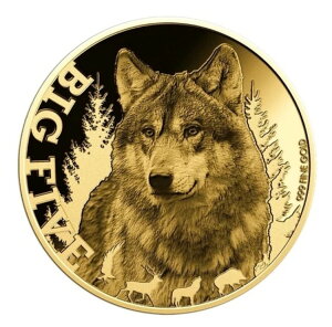 2022N `h .999  IIJ~ [bp ܑߐH 쐶 WWF 