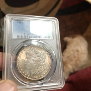 1886�N 1�h�� PCGS MS65�B�������g�i�[�A���A�I�����W�A���[�Y�J���[���R�C���ɖL�x�ɎU��΂߂��Ă��܂��B
