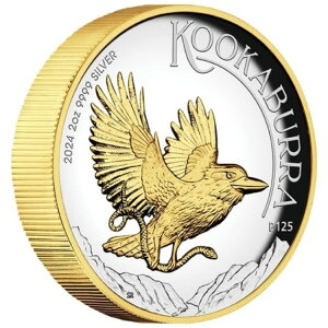 2h CJZ~  I[XgA 2IX  PP 2024-