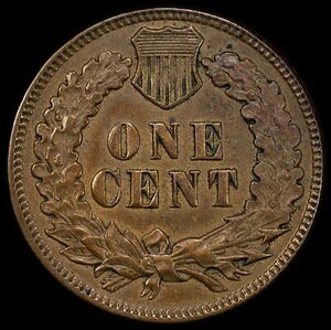 1876NCfBAwbhZgd݁iPCGSN[jOς݁AI[XgAڍׁAčj