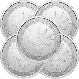 5Zbg - 2025N 5h  Ji_ gv[v[t 1IX BU