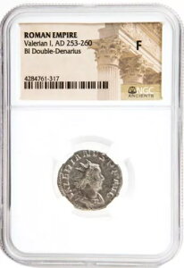 NGC F �A���g�j�j�A�k�X�E�I�u�E���@�����A�k�X1�� AD253-260 NGC �A���V�G���c �_�u���f�i���E�X