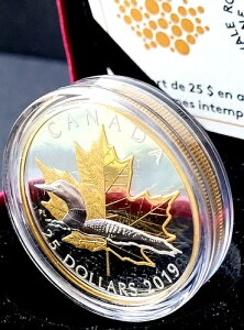 2019�N�J�i�_�h�� 25�h�� 1�I���X ����s�G�t�H�[�g�R�C���F�A�r�ƃ��[�v�����[�t