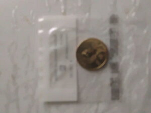 �l�C�e�B�u�A�����J���h�� 2013-P ������-60