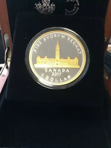 2017N RCMAj[AVo[_[Ac 2gCIX 99.99 Vo[