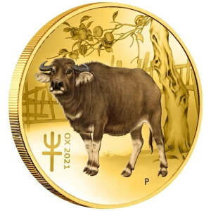 2021N NN  - J[ - I[XgA - 1/20IX ST-