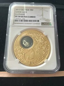 2013N jEG 2h K^̏ 1IX .999Ag NGC**PF-70 UC