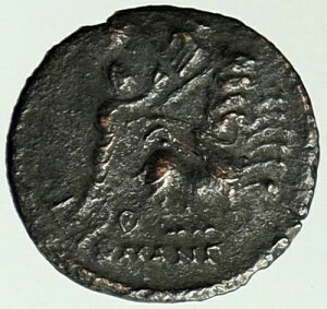 RX^eBkX1 V̈̑ȐԐ_̎ Ñネ[}RC i105058