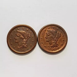 1856N 1Zg ҂ݍ݃wA [WZg 2Zbg ΂ 5 XF/AU - Y5523