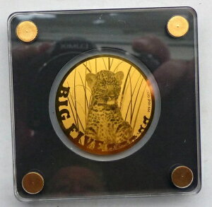 2023N `h 999  xr[qE pe[ lR rbOt@Cu ߐH 쐶 WWF