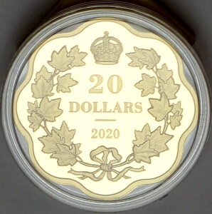 2020 N 20 h }X^[Y Nu RC  v[t RC ےIȃ[v [t S[h PltgB