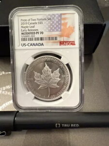 2019�N 5�h�� �J�i�f�B�A�� �V���o�[ ���[�v�����[�t NGC ���f�B�t�@�C�h PF70 �v���C�h �I�u �c�[�l�[�V�����Y??