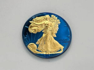 �A�����J 2021 �A�����J���C�[�O�� �S�[���h �u���[�J���[ �E�H�[�L���O ���o�e�B .999 �t�@�C�� 1 �I���X ESD