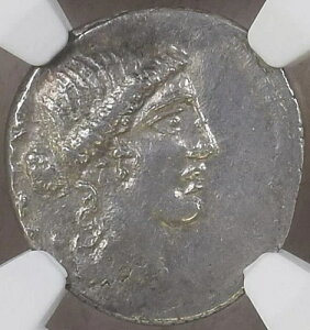 [}鍑 AR fiEX - ArjEX u[eB f.Ac.IO 48 N - NGC AU 3/5A3/5