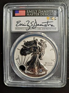 2021-W o[Xv[t Vo[C[O ^Cv1 PCGS PR70 FDI G~[E_Xg TC