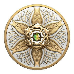 2025N 20h _VOEACgFR̗vf n - RC