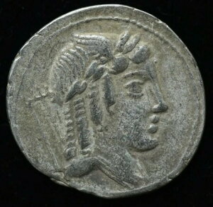 EXEu\ ␻ fiEX vԃRC 19mm 2.8O