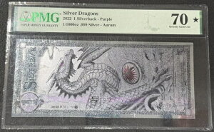 2022 Vo[obN I[ m[g Vo[ hSY p[v GfBV PMG EPQ Gem Un 70* #847