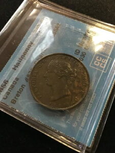 1856NJi_An[tyj[g[NABr# 876 Ch# NS5A2; CCCSO[h**VF-30**