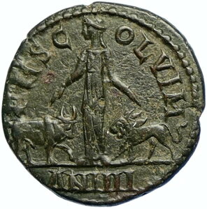 GORDIAN III 242AD Viminacium BULL & LION LEGIONS �Ñネ�[�}�̃R�C�� i98525