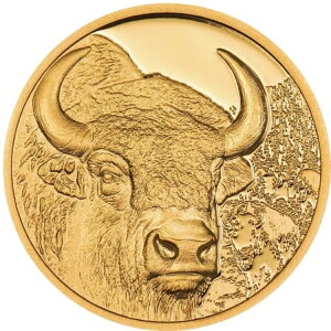 쐶̃SoC\ 2025 1000gObO 1/10IX  RCM